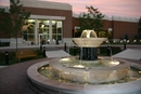 Elmhurst College